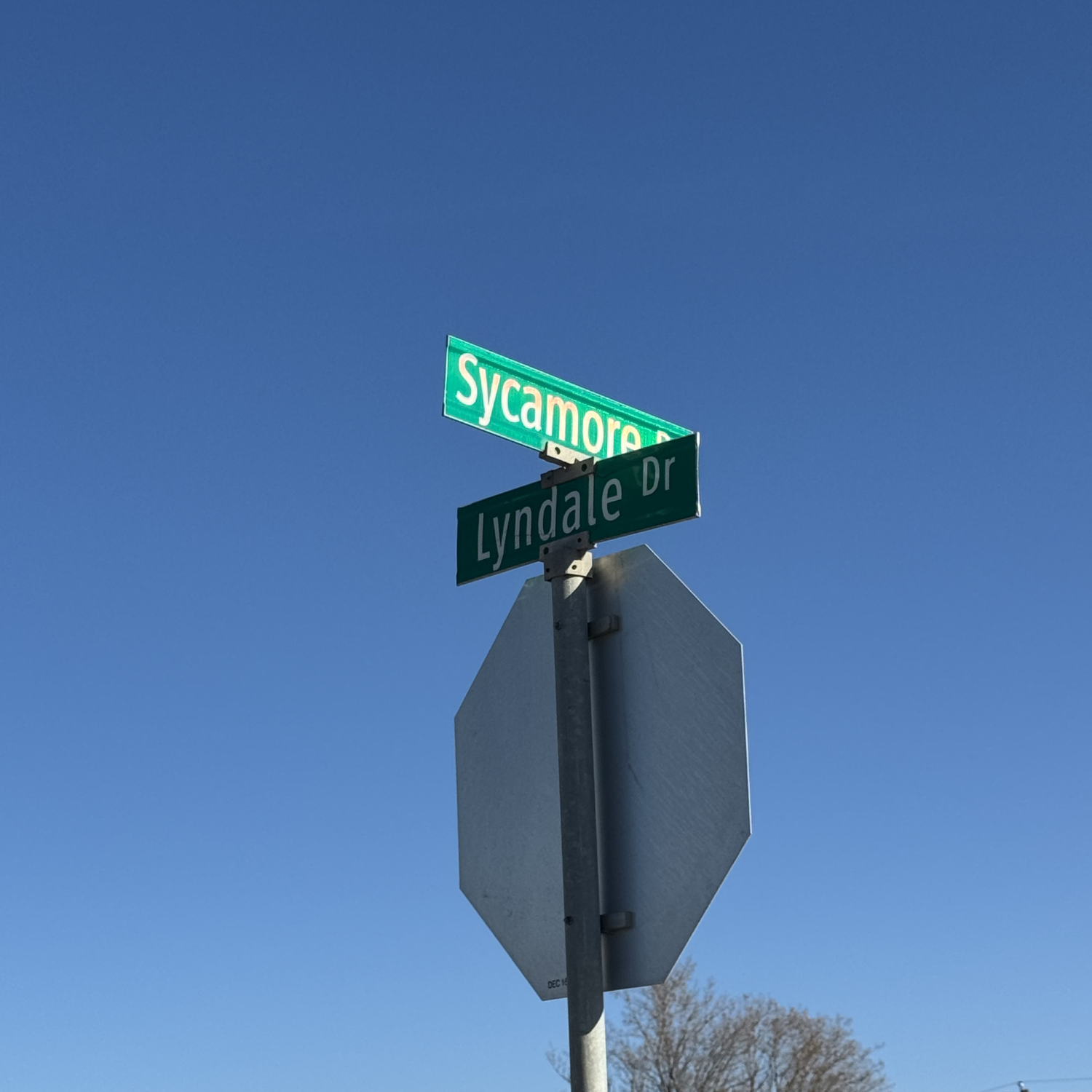 Lyndale Progress Photos